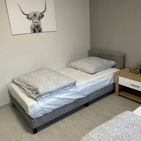 Apartment New Apartment Waiting For You! Schellerten